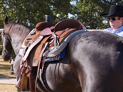 Saddle